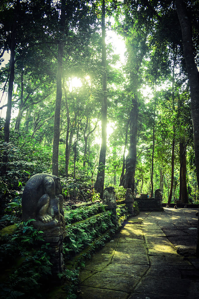 聖猴森林庇護所 (Photo by Kandoi.sid, License: CC BY-SA 3.0, Wikimedia Commons提供)