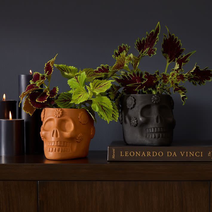 <p><a href="https://go.redirectingat.com?id=74968X1596630&url=https%3A%2F%2Fwww.westelm.com%2Fproducts%2Fterracotta-skull-tabletop-planters-d16495&sref=https%3A%2F%2Fwww.housebeautiful.com%2Fshopping%2Fhome-accessories%2Fg963%2Felegant-halloween-home-decorations%2F" rel="nofollow noopener" target="_blank" data-ylk="slk:Shop Now;elm:context_link;itc:0;sec:content-canvas" class="link ">Shop Now</a></p><p>Terracotta Skull Tabletop Planters</p><p>$39.00</p><p>westelm.com</p>