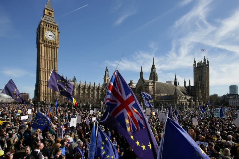 Demonstrators holding EU and Union flags gather in front of the Houses of Parliament in London following an anti-Brexit, pro-European Union (EU) march on March 25, 2017, ahead of the British government's planned triggering of Article 50 next week