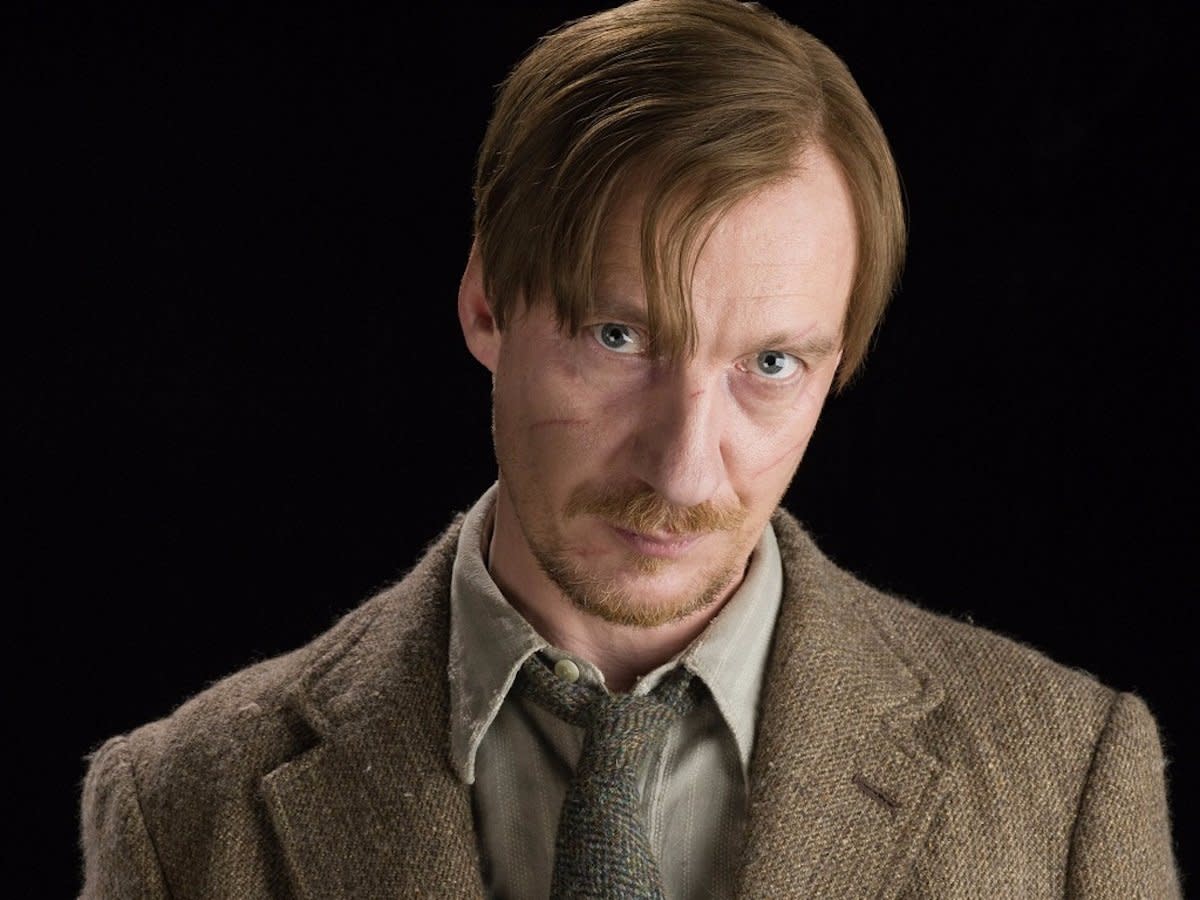 Remus Lupin harry potter warner bros