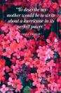 <p>"To describe my mother would be to write about a hurricane in its perfect power."</p><p>- Maya Angelou</p>