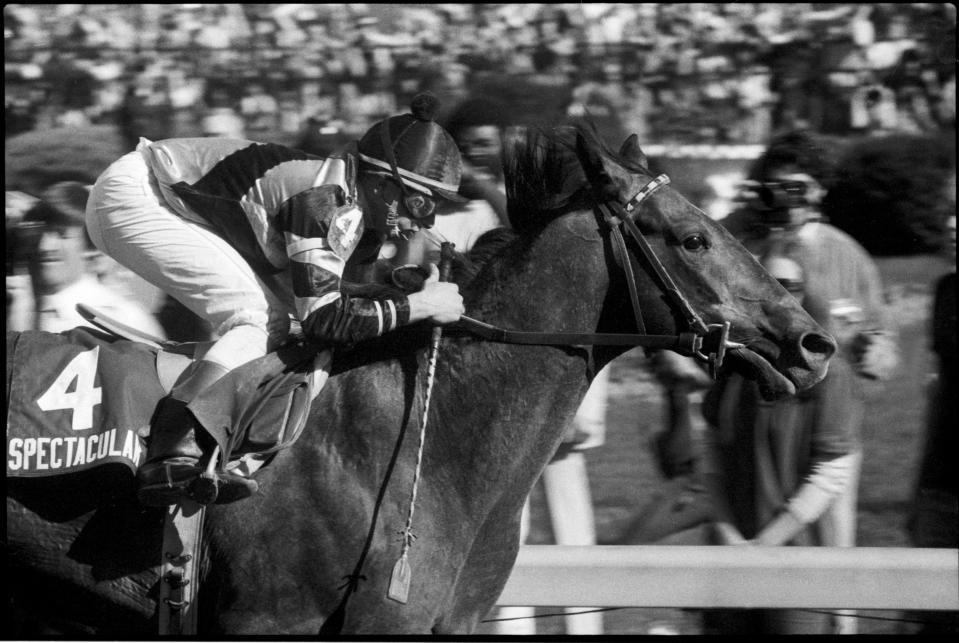 Spectacular Bid with jockey Ronnie Franklin aboard wins the Kentucky Derby. 
May 5 1979.