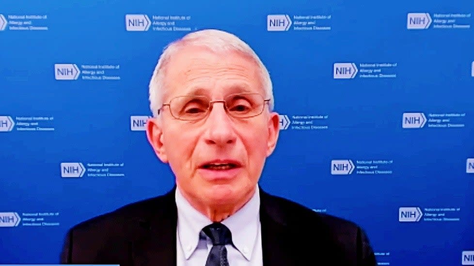 Anthony Fauci speaks in an appearance on NewsNation