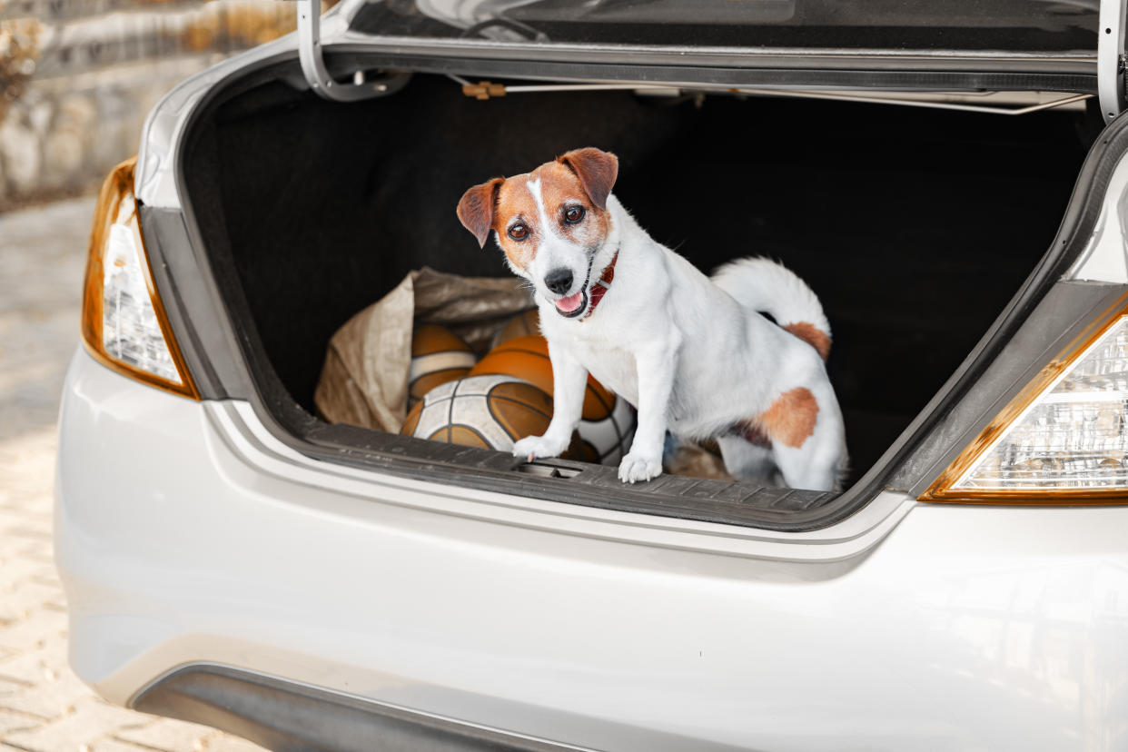 ¿Tu cajuela da pena? El organizador para autos más vendido en Amazon está en oferta por 13 dólares. Foto: Getty Images. 