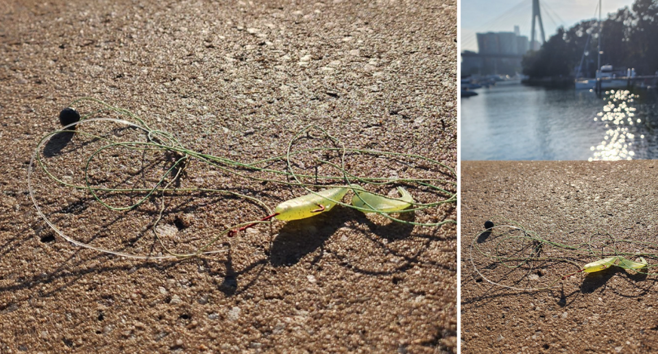 A discarded fish hook and line is seen here at Blackwatte Bay in Glebe, amid calls for tackle bins. 