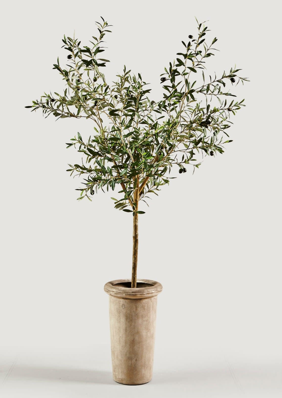 <p><a href="https://go.redirectingat.com?id=74968X1596630&url=https%3A%2F%2Fwww.afloral.com%2Fproducts%2Ffaux-olive-tree-branch-potted-plant-in-cement-pot-72&sref=https%3A%2F%2Fwww.elledecor.com%2Fdesign-decorate%2Fg60399178%2Fbest-faux-olive-trees%2F" rel="nofollow noopener" target="_blank" data-ylk="slk:Shop Now;elm:context_link;itc:0;sec:content-canvas" class="link rapid-noclick-resp">Shop Now</a></p><p>Faux Olive Tree Plant in Cement Pot</p><p>afloral.com</p><p>$420.00</p>