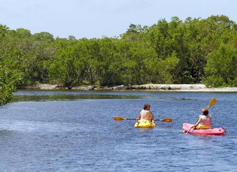 Paddlers explore John Pennekamp Coral Reef State Park in Key Largo.