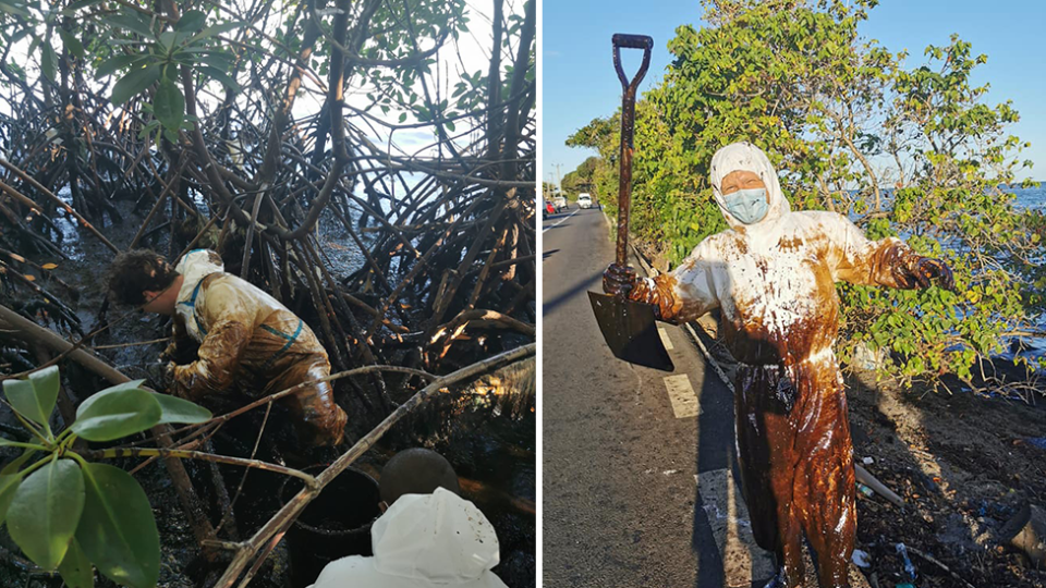 Split screen. Left - Adrien Charles Duval wades into the mangrove. Right - A volunteer in PPE that is covered in oil holds up a shovel