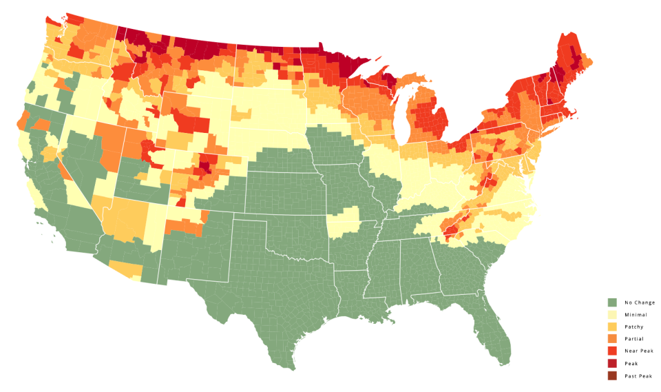 New England Fall Foliage 2024 Weekbyweek forecast maps shown when