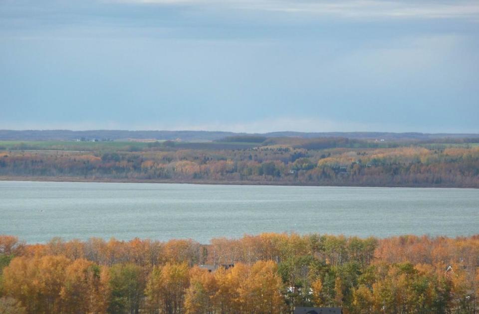 A shot of Gull Lake during fall. The water levels in the lake have been declining for several years. (Norval Horner - image credit)