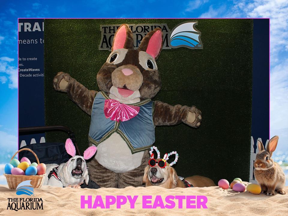 The Florida Aquarium and the Easter Bunny