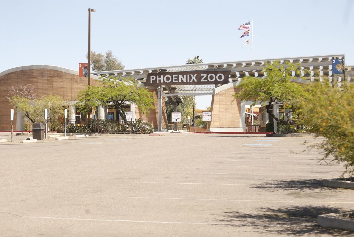 Several of the Phoenix Zoo's pink-backed pelicans began showing signs of neurologic impairment on Oct. 15.