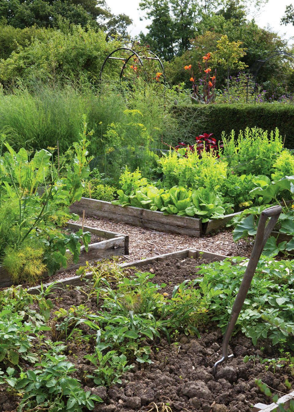 5. Customize your soil to match your plants' needs