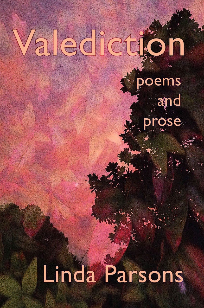 This Saturday, author Linda Parsons will be signing copies of her new book, “Valediction,” at Union Ave Books.