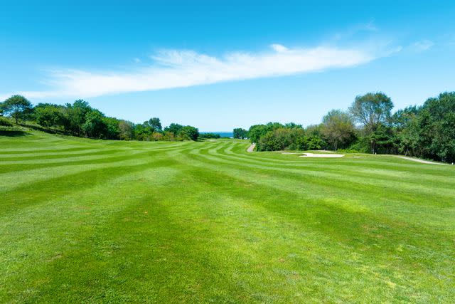 <p>Getty</p> Golf course.