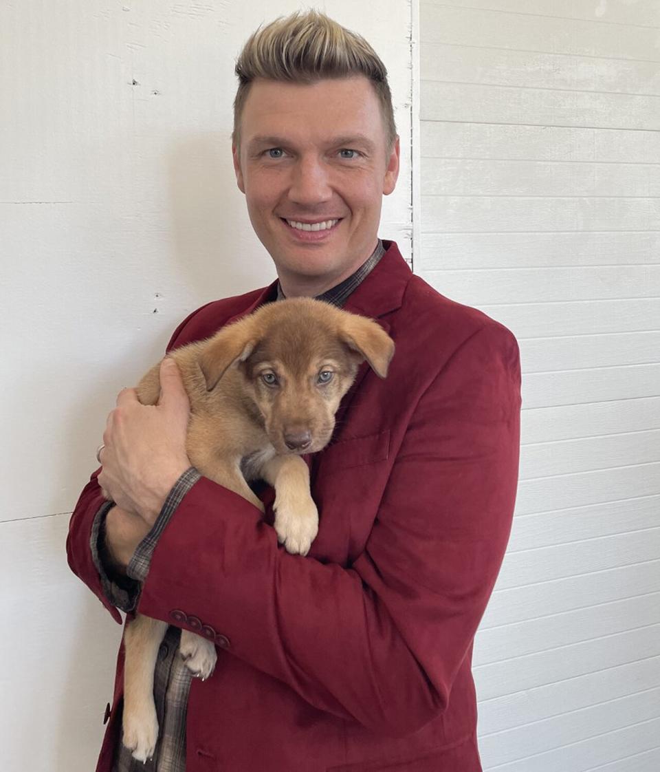 Backstreet Boys posing with puppies at the Nashville Humane Society