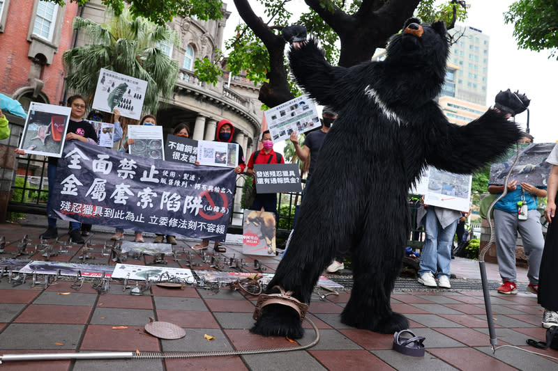 動保團體演出行動劇  籲禁止金屬套索陷阱（1） 搶救野生動物聯盟18日到監察院大門口舉行記者會， 現場演出行動劇呈現黑熊在自然環境遭遇人為金屬套 索陷阱傷亡的情形，呼籲全面禁止「山豬吊」等殘忍 獵具。 中央社記者王騰毅攝  113年4月18日 