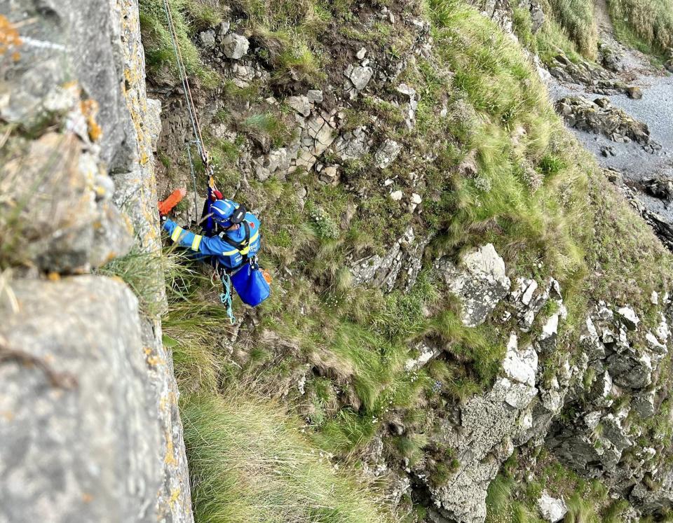 Coastguards said it was the fourth rescue involving a dog that they had carried out this year. (Facebook/HM Coastguard - Portpatrick)