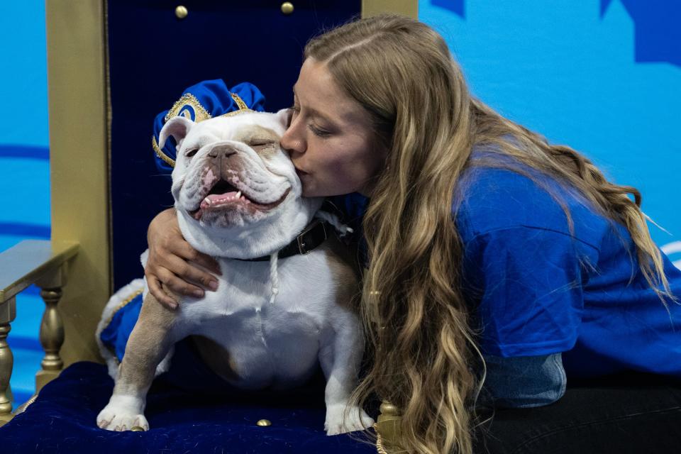 Patch, a bulldog from Johnston, gets a kiss from her owner Jennifer Hinton after being named the 2023 Beautiful Bulldog Contest winner.