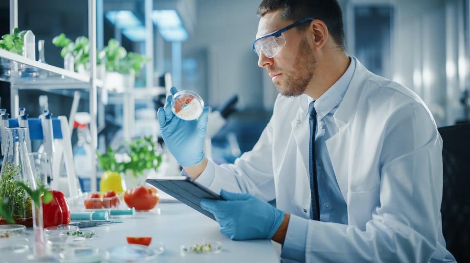 <a href="https://www.shutterstock.com/es/image-photo/male-microbiologist-working-on-tablet-computer-1919496383" rel="nofollow noopener" target="_blank" data-ylk="slk:Gorodenkoff / Shutterstock;elm:context_link;itc:0;sec:content-canvas" class="link ">Gorodenkoff / Shutterstock</a>