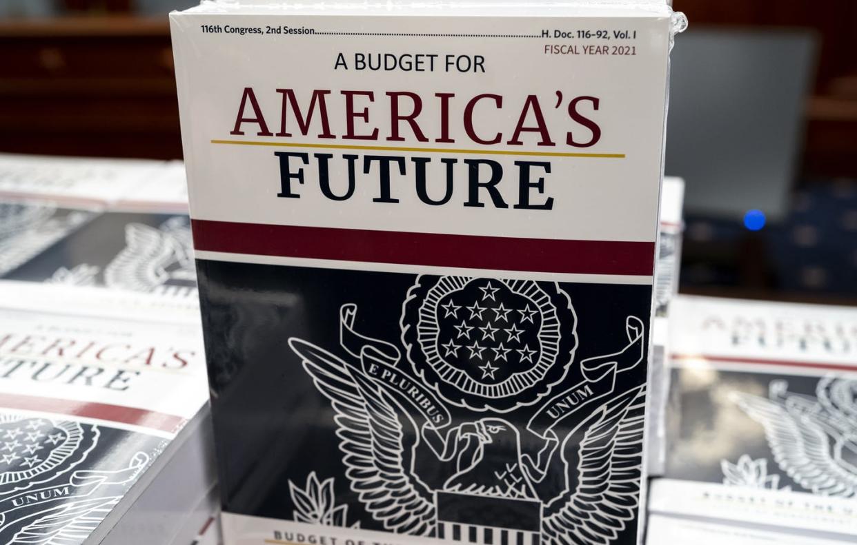 <span class="caption">President Donald Trump's budget request for fiscal year 2021. </span> <span class="attribution"><a class="link " href="http://www.apimages.com/metadata/Index/Trump-Budget/ed888804d05642749ce3fcb22ac436c6/17/0" rel="nofollow noopener" target="_blank" data-ylk="slk:AP photo / J. Scott Applewhite;elm:context_link;itc:0;sec:content-canvas">AP photo / J. Scott Applewhite</a></span>