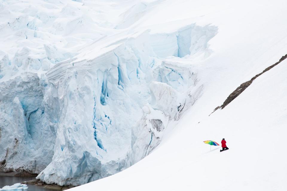 Gray Malin in Antarctica | Antarctica