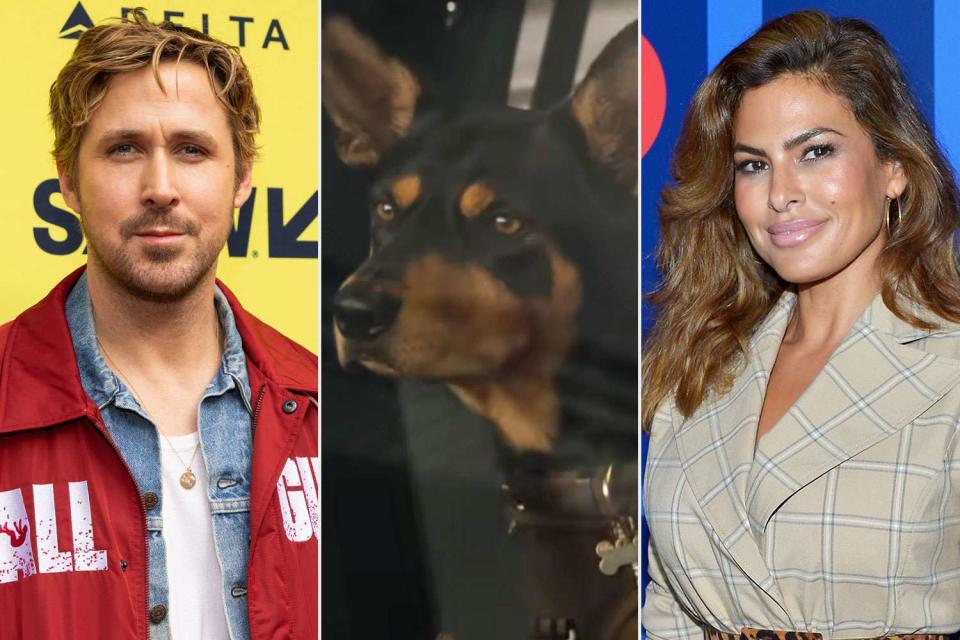 <p>Rick Kern/WireImage, Universal Pictures/YouTube, Donato Sardella/Getty</p> Ryan Gosling; the dog Jean Claude in 