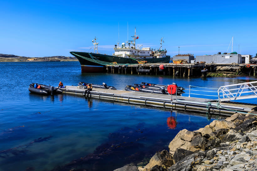 Cerca del 20% del calamar que consume Europa se pesca cerca de las Malvinas.