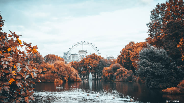 London Eye from River