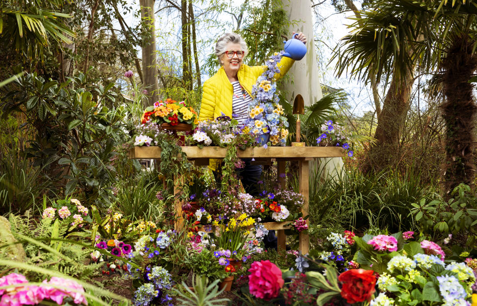 B&Q Gardener of the Year 2022 looks a little different this year - with Dame Prue Leith swapping her spatula for secateurs and leading this year’s judging panel (Credit: Ian Gavan/Getty Images)