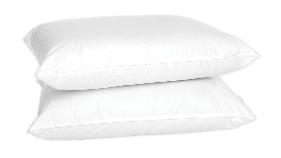 Bed, Bath & Beyond Labor Day Sale: 4earth 2-Pack Eco-Friendly Organic Cotton Standard Bed Pillows