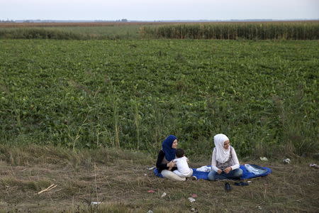 Migrants hoping to cross into Hungary sit in a field outside the village of Horgos in Serbia, towards the shared border with Hungary August 31, 2015. REUTERS/Marko Djurica