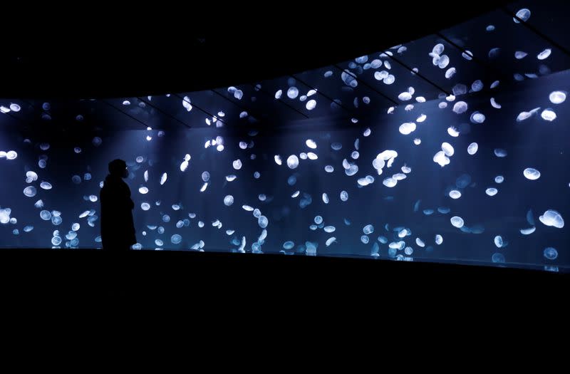 A man wearing a protective mask, amid the coronavirus disease (COVID-19) outbreak, looks at jelly fishes in a large fish tank at Sunshine Aquarium in Tokyo