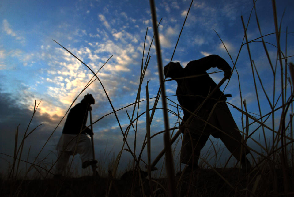 FILE - In this Jan. 13, 2014, file photo, Afghan farmers work on their field on the outskirts of Mazar-e-Sharif, northern Afghanistan. Uncertainty over how many U.S. troops might remain in Afghanistan beyond this year has trickled down to American diplomats and aid workers whose efforts over the last decade to develop the still mostly primitive country faces a drawdown of its own because of security fears. (AP Photo/Mustafa Najafizada, File)