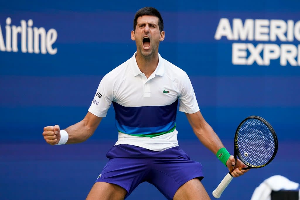 Novak Djokovic’s emotions were on full display against Kei Nishikori (John Minchillo/AP) (AP)