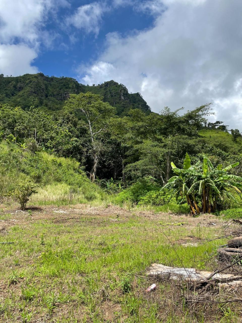 The farm where Moore and her parents used to work, in Thailand’s northern Khao Kho region (Hannah Twiggs)