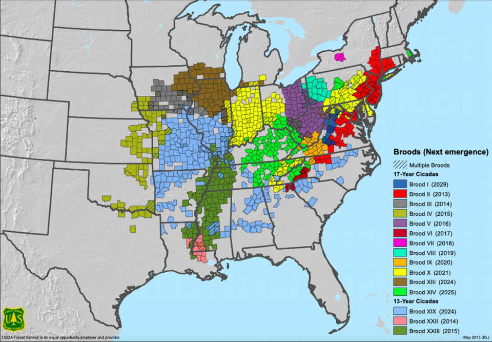 A map of the periodical cicada broods in the United States.