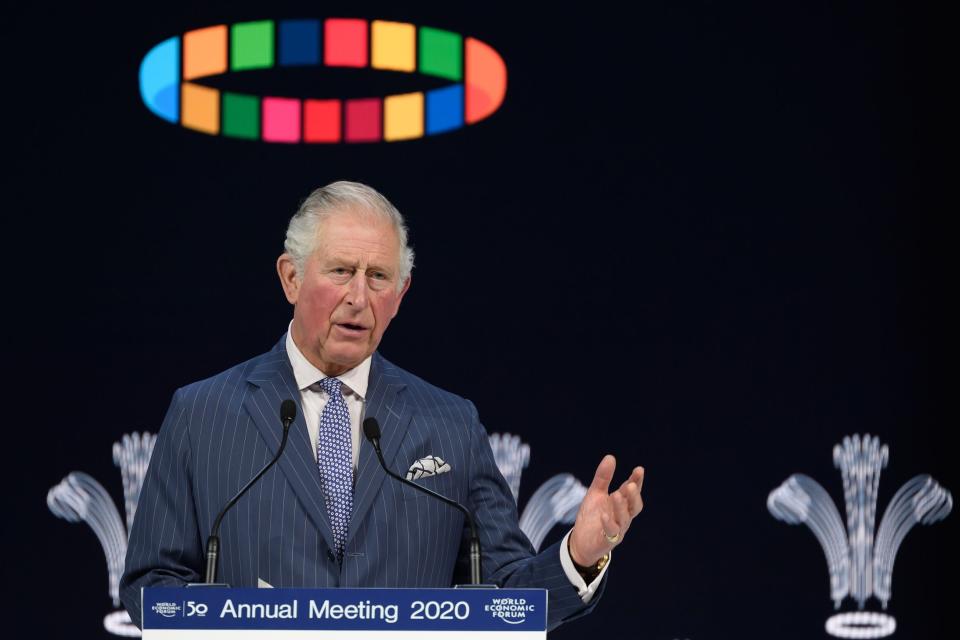 Charles, Prince of Wales, delivers a speech at the World Economic Forum (AFP via Getty Images)