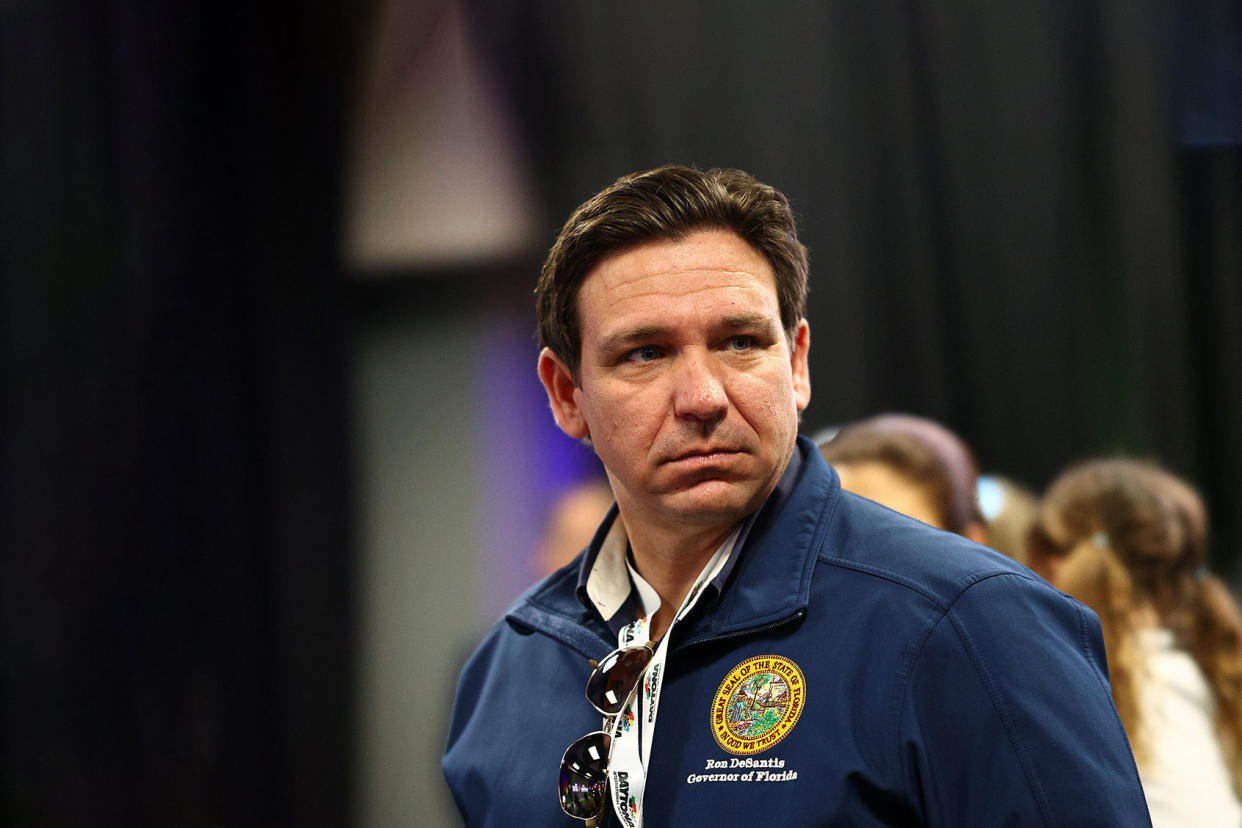 Ron DeSantis Jared C. Tilton/Getty Images