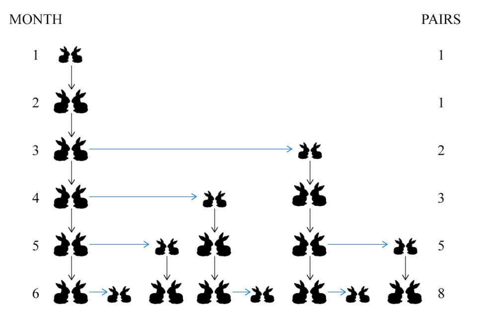 Fibonacci’s rabbits don’t really double their population each generation – their growth ratio actually approaches the 1.618… of phi. <a href="https://wwnorton.com/books/9781324007036" rel="nofollow noopener" target="_blank" data-ylk="slk:'The Big Bang of Numbers';elm:context_link;itc:0;sec:content-canvas" class="link ">'The Big Bang of Numbers'</a>