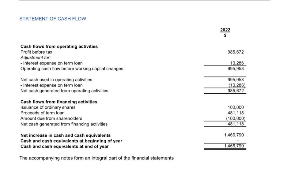 Statement of Cash Flow. (Screenshot: ACRA)