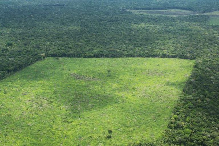 Las selvas del Guaviare, donde cayó la avioneta