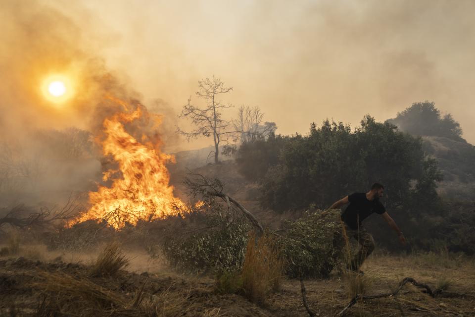 Ilias Kyriakou, 25, pulls an olive branch as a wildfire burns in Gennadi village, on the Aegean Sea island of Rhodes, southeastern Greece, on Tuesday, July 25, 2023. A firefighting plane has crashed in southern Greece, killing both crew members, as authorities are battling fires across the country amid a return of heat wave temperatures. (AP Photo/Petros Giannakouris)