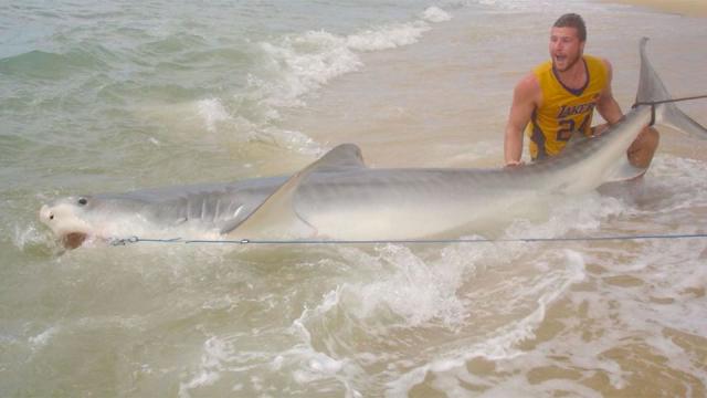 Keen fisherman catches three massive sharks in one week
