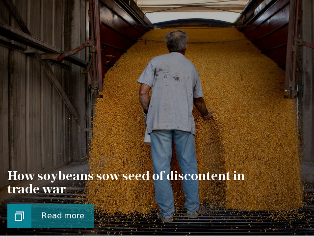 How soybeans sow discontent in trade war