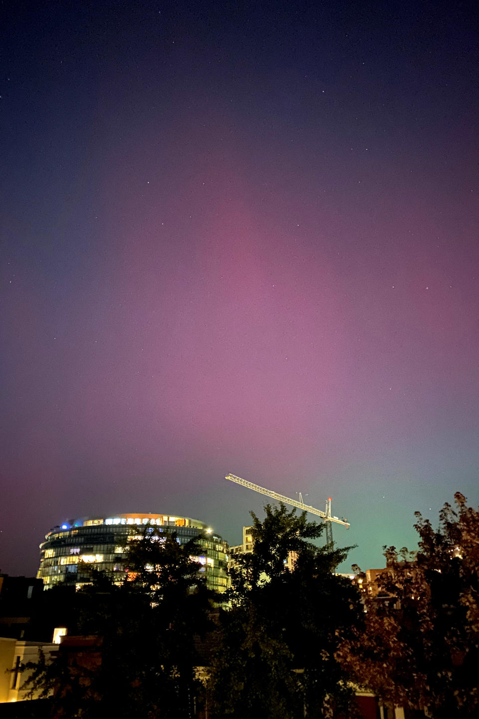 Night sky with pink and purple aurora over a cityscape, featuring a building with lights and a construction crane. Trees are silhouetted in the foreground