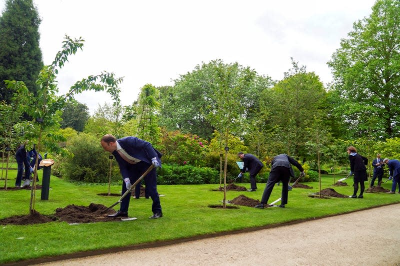 People in business suits plant trees. 