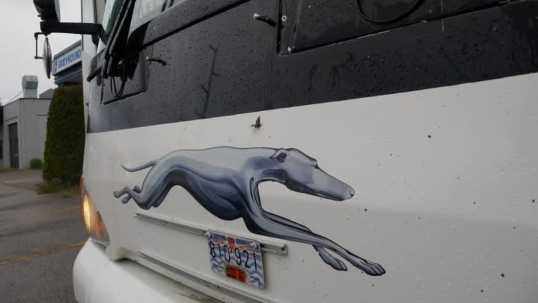 2 B.C. cities with popular Greyhound routes have 'alternatives,' but concerns remain for rural communities