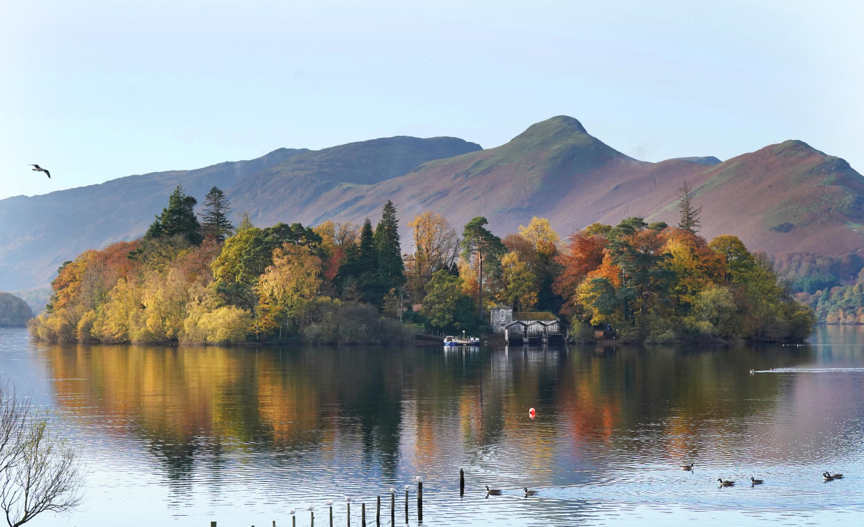 Autumn colours on the trees on Derwent island on Derwentwater in the Lake District. Picture date: Sunday November 5, 2023. (Photo by Owen Humphreys/PA Images via Getty Images)