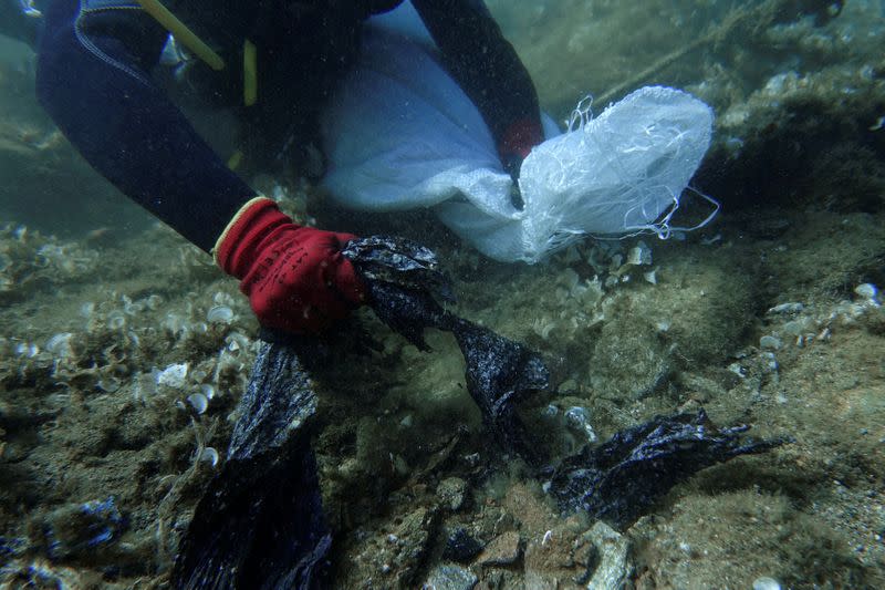 FILE PHOTO: A volunteer diver of the environmental group Aegean Rebreath gathers plastic waste from the bottom of the sea, off the island of Andros